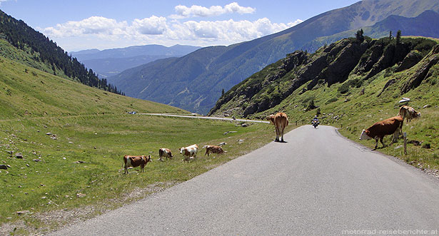 Strasse zum Sölkpass